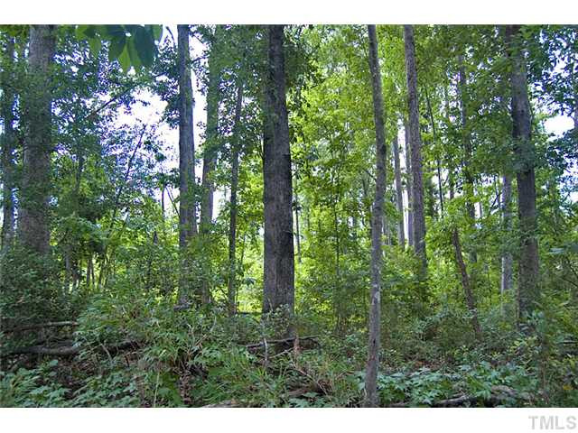 7 Paths Rd Spring Louisburg, NC 27549 - Photo 4 of 4 Photo 4