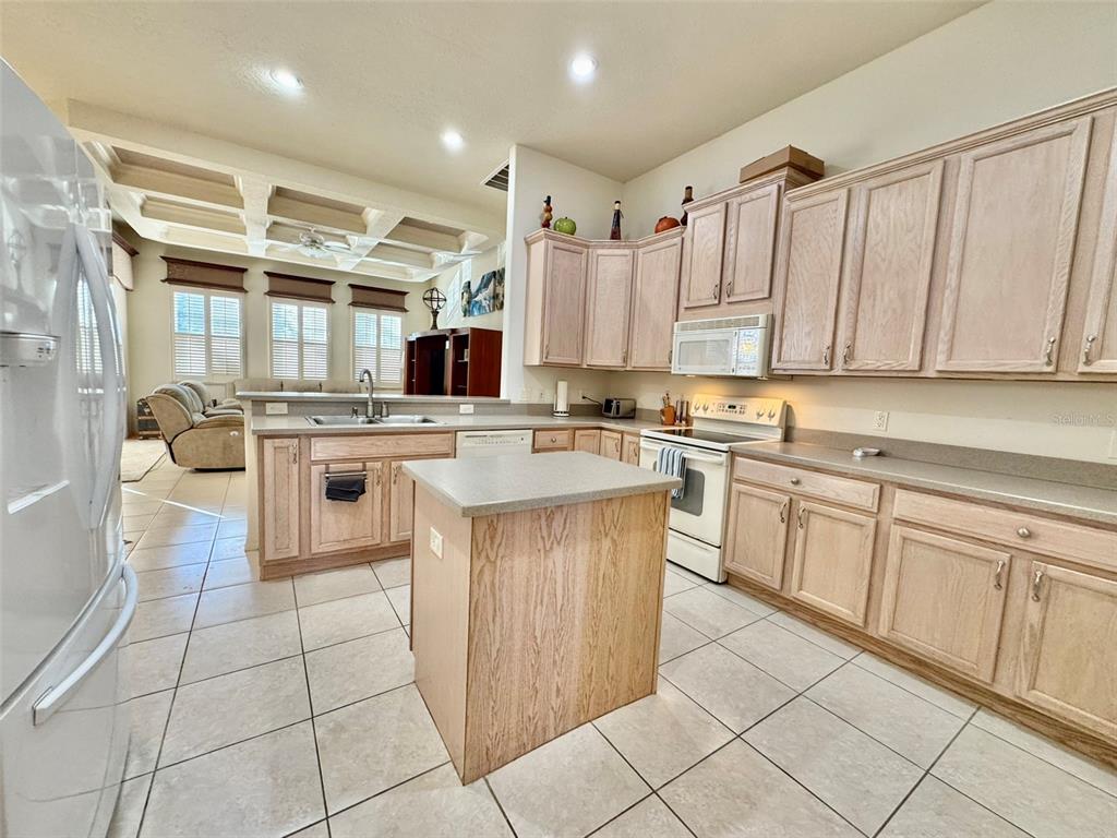 56 South Needles Point Inverness, FL 34453 - Photo 21 of 62
