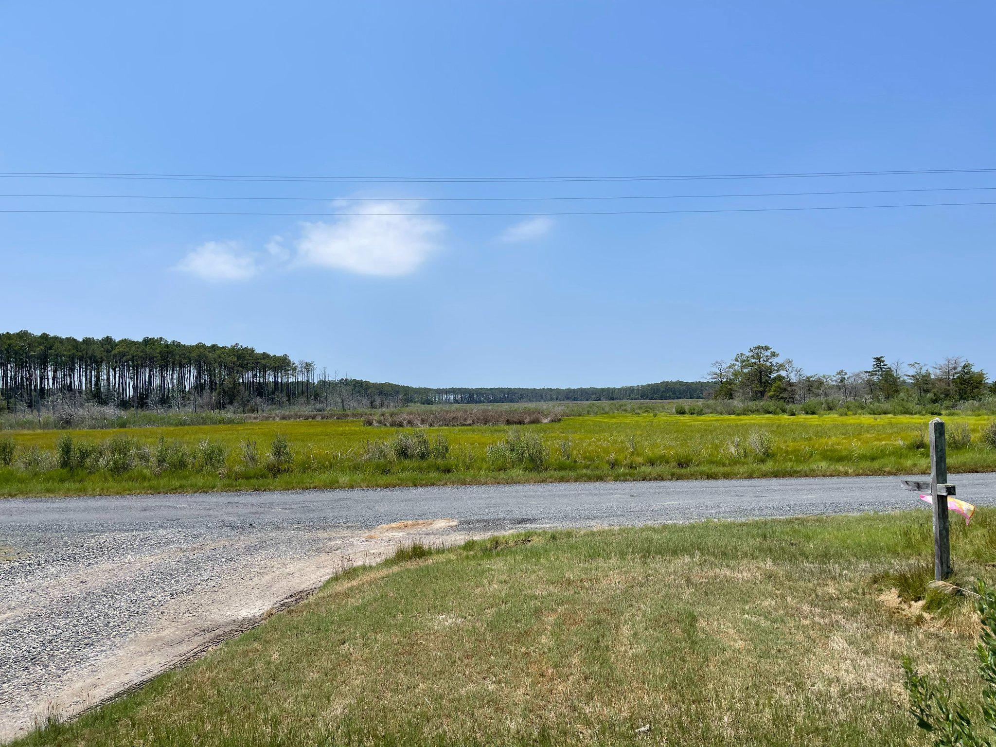 2439 Asquith Island Road Crapo, MD 21626 - Photo 5 of 14 Scenic view from the front yard