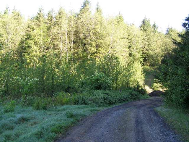 Tl#605 Latimer Road North Tillamook, OR 97141 - Photo 21 of 28 P5021237