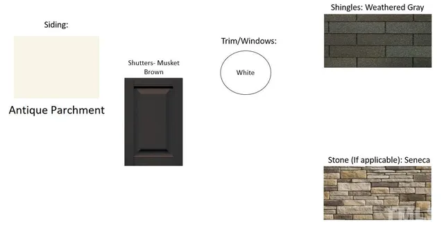 a black and white wall with a potted plant