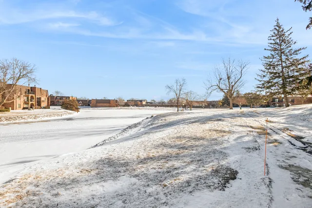 $164,755 | 112 Mullingar Court, Unit 1C, Schaumburg, IL 60193