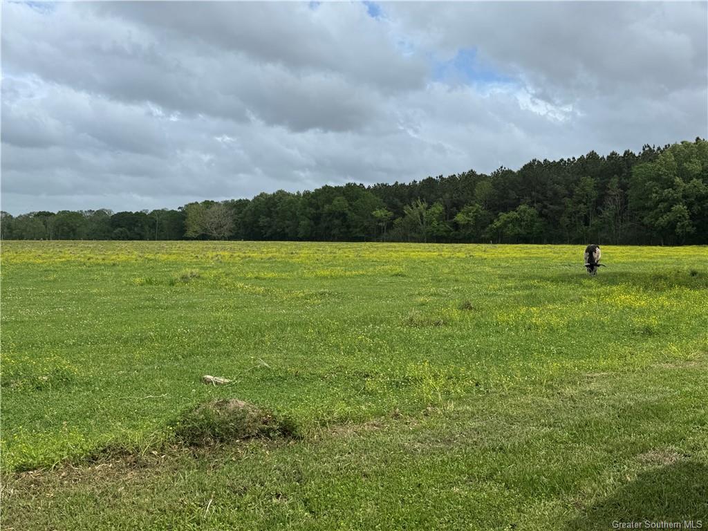 1346 Jolene Road Basile, LA 70515 - Photo 18 of 18 Gallery Image 18