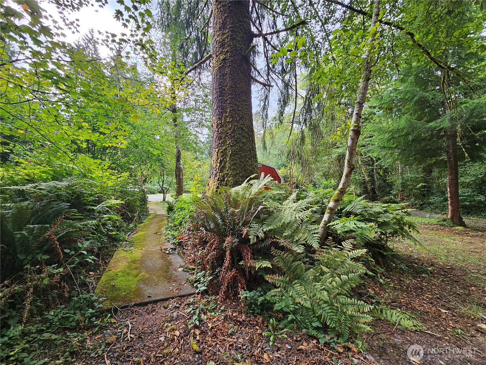 30 Hokanson Road Elma, WA 98541 - Photo 28 of 39