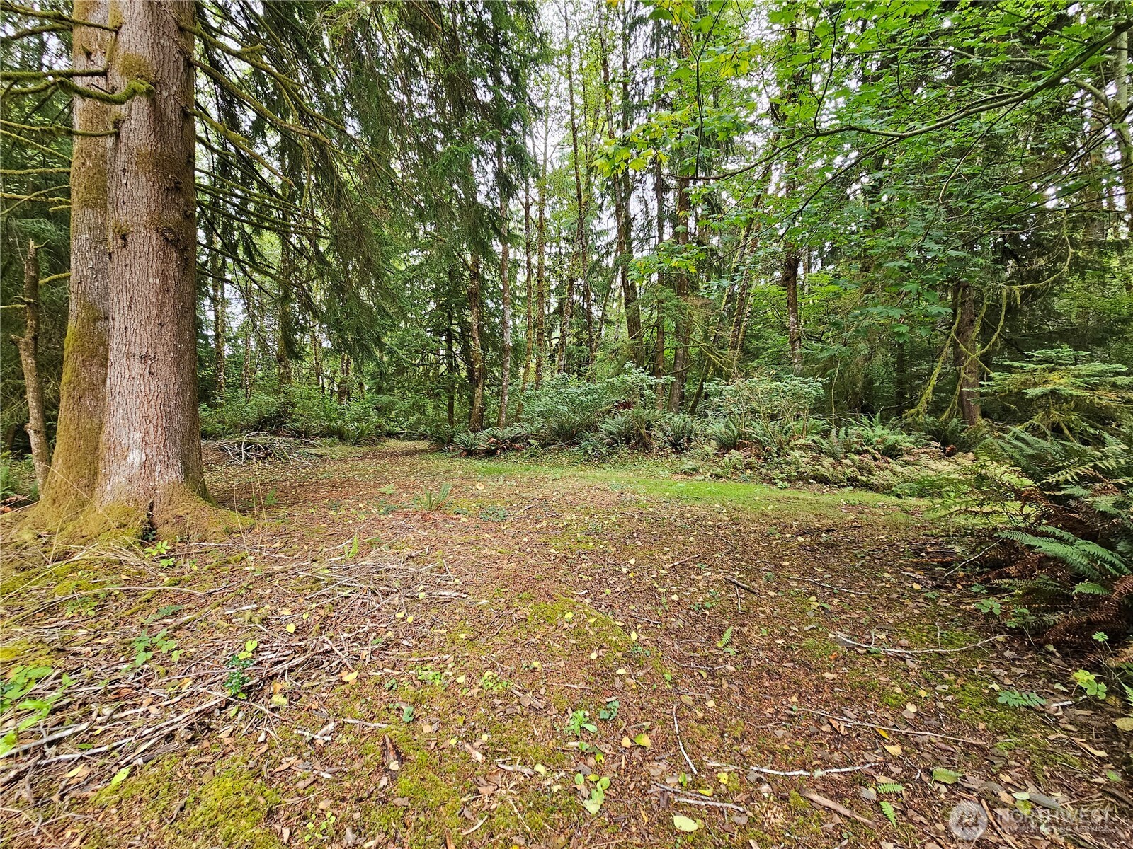 30 Hokanson Road Elma, WA 98541 - Photo 35 of 39