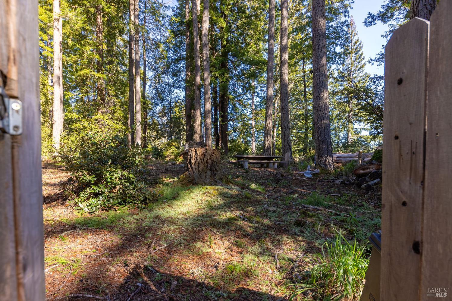 22000 Timber Cove Road Jenner, CA 95450 - Photo 32 of 37