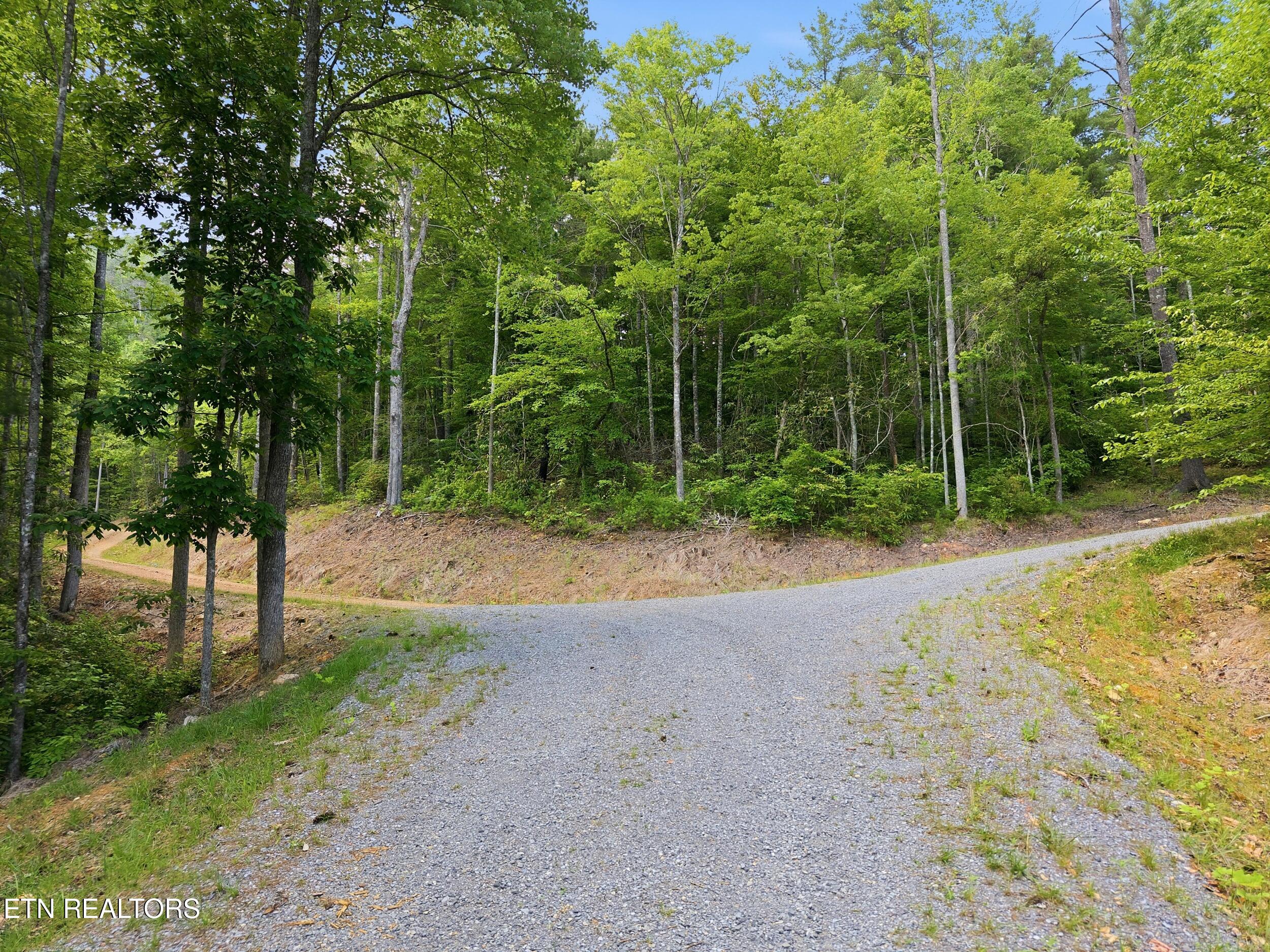 909 The Loop Road Walland, TN 37886 - Photo 7 of 32 10_909_the_loop_rd_0007