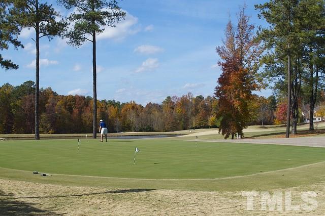 9124 Palm Bay Circle Raleigh, NC 27617 - Photo 23 of 24 a view of a park