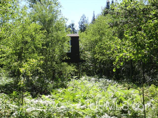 42-ac Cable Lake Road Crystal Falls, MI 49920 - Photo 36 of 36