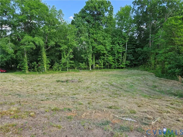 a view of a green field with trees in the background