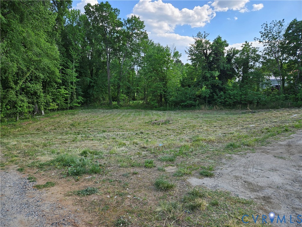 53-acres Goodes Bridge Road Amelia Court House, VA 23002 - Photo 2 of 10 a view of a field with trees in the background