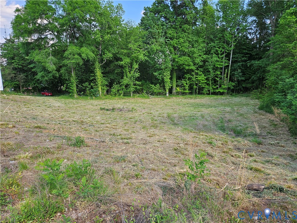 53-acres Goodes Bridge Road Amelia Court House, VA 23002 - Photo 7 of 10 a view of outdoor space and yard
