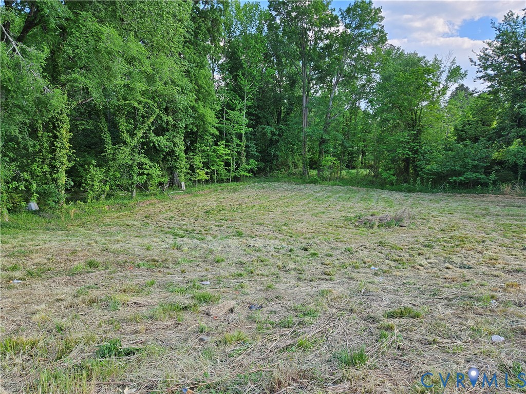53-acres Goodes Bridge Road Amelia Court House, VA 23002 - Photo 10 of 10 a view of a yard with a trees