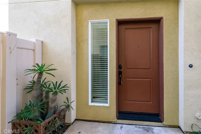 a potted plant in front of a door