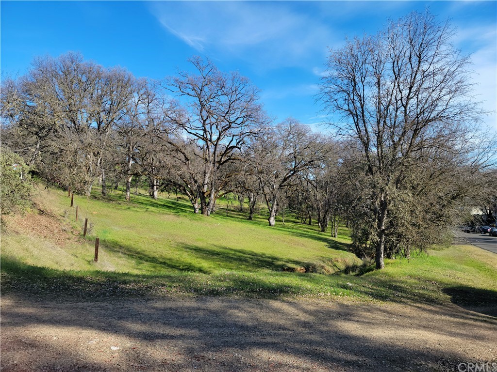 a view of a park