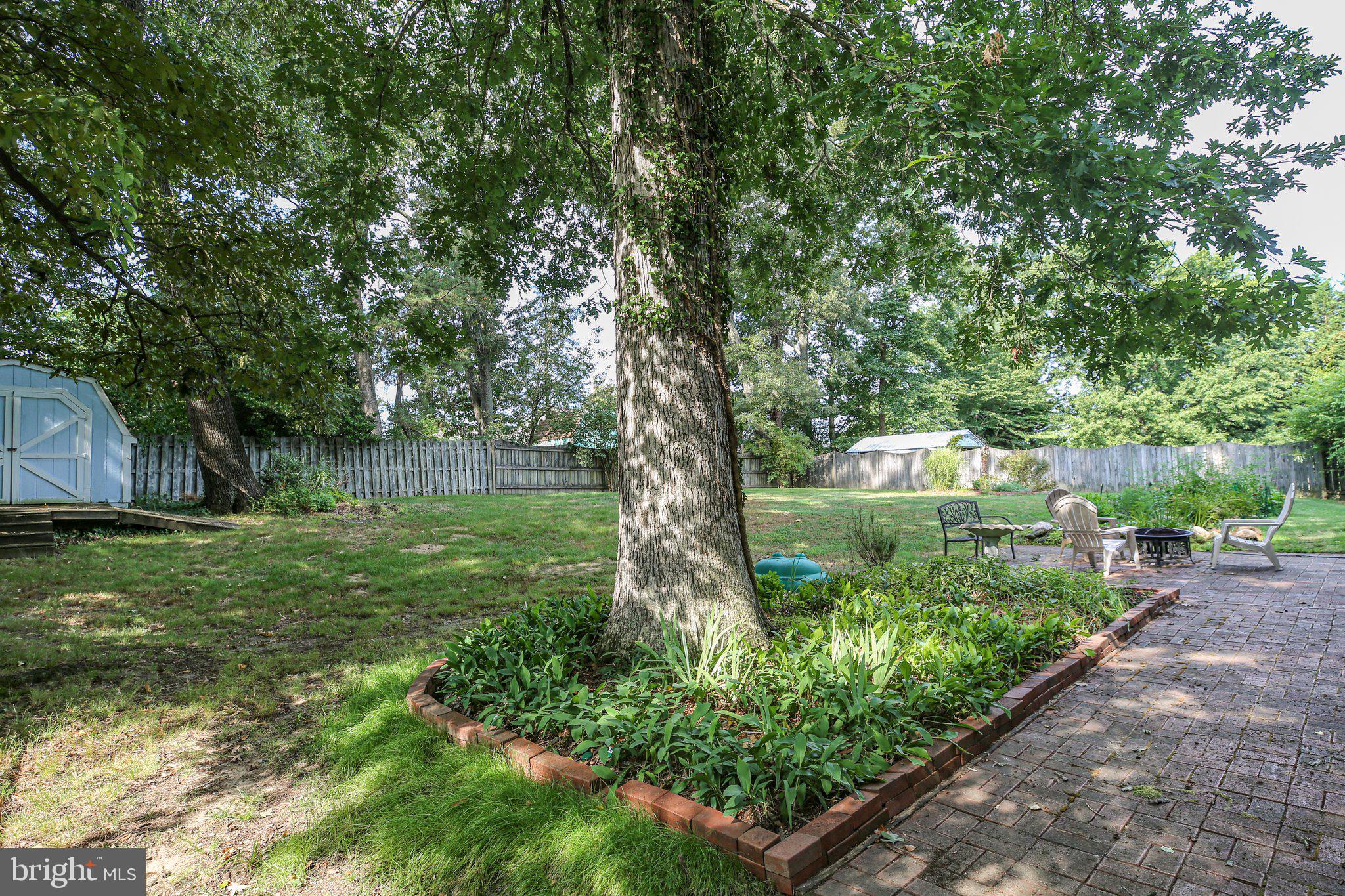 shade trees and brick paths!