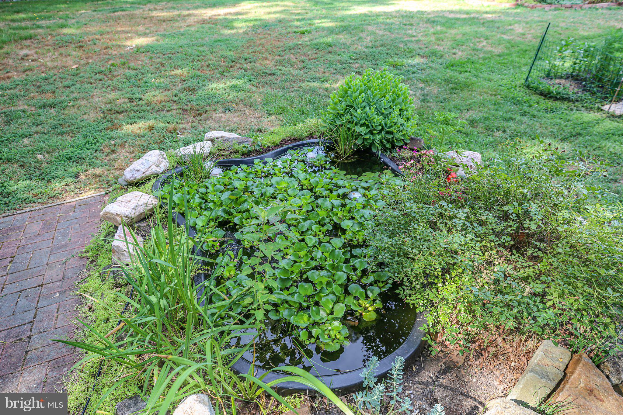 2122 Sebastian Road Fredericksburg, VA 22405 - Photo 8 of 50 coy pond!