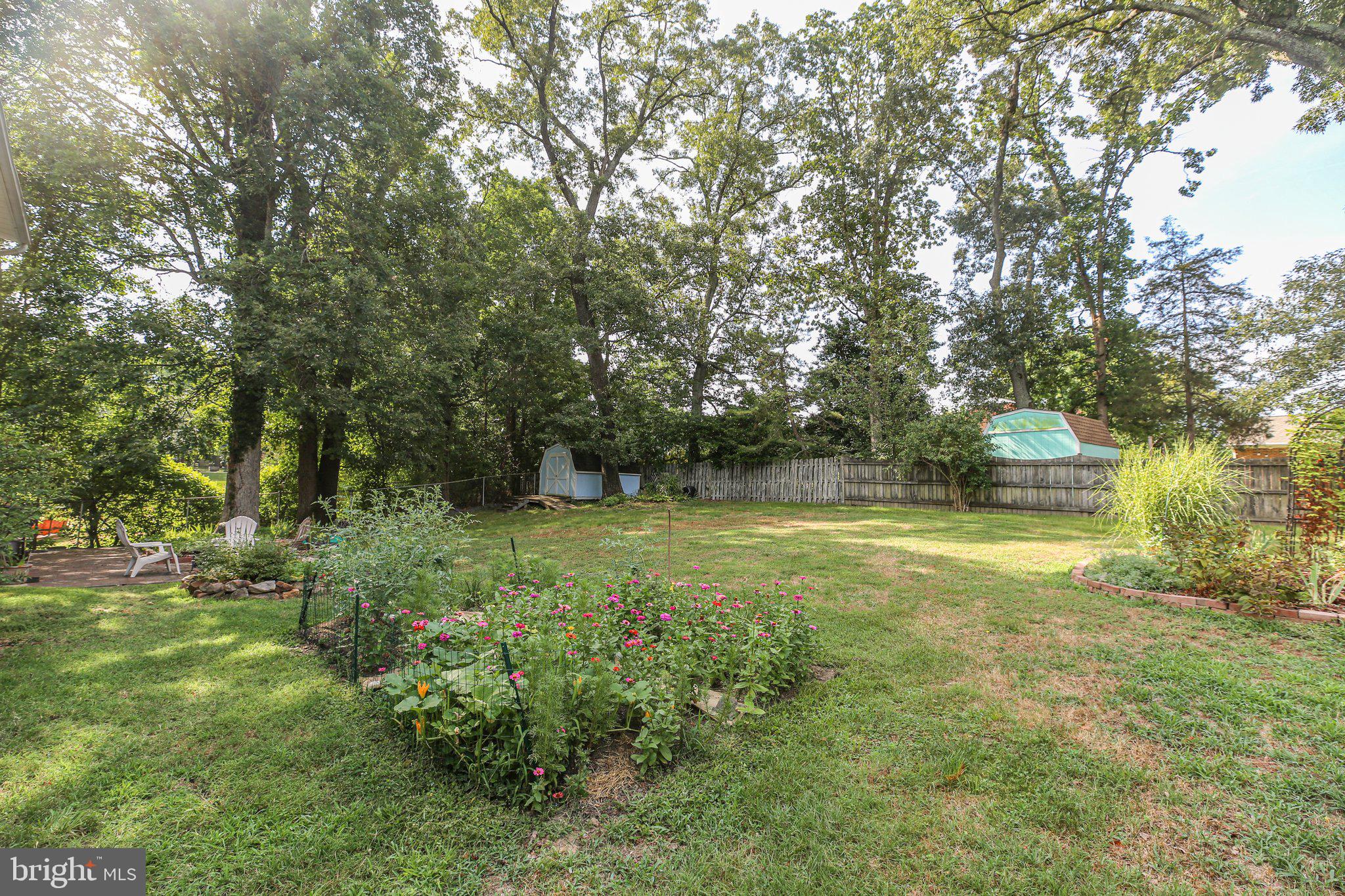 2122 Sebastian Road Fredericksburg, VA 22405 - Photo 9 of 50 Big yard !
