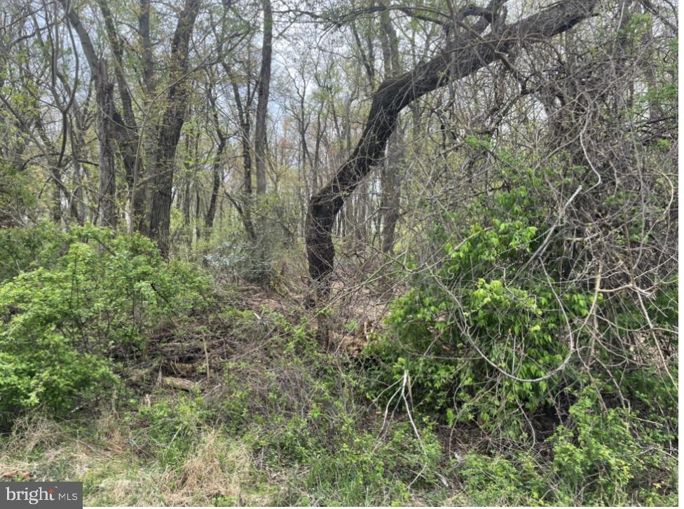 14615-14617 Old Hanover Road Reisterstown, MD 21136 - Photo 3 of 5 a view of forest