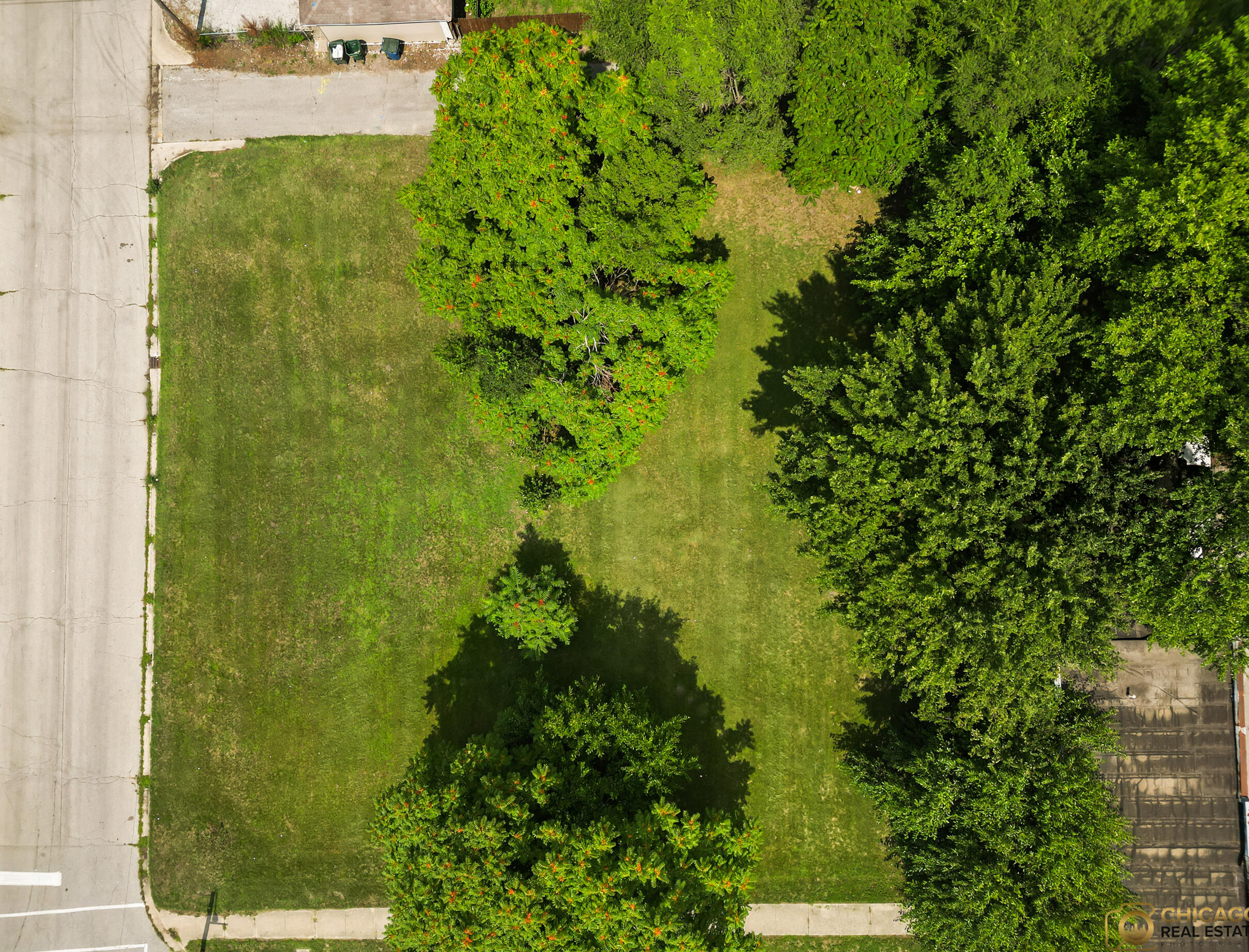 903 Conkey Street Hammond, IN 46320 - Photo 4 of 4 a view of a garden