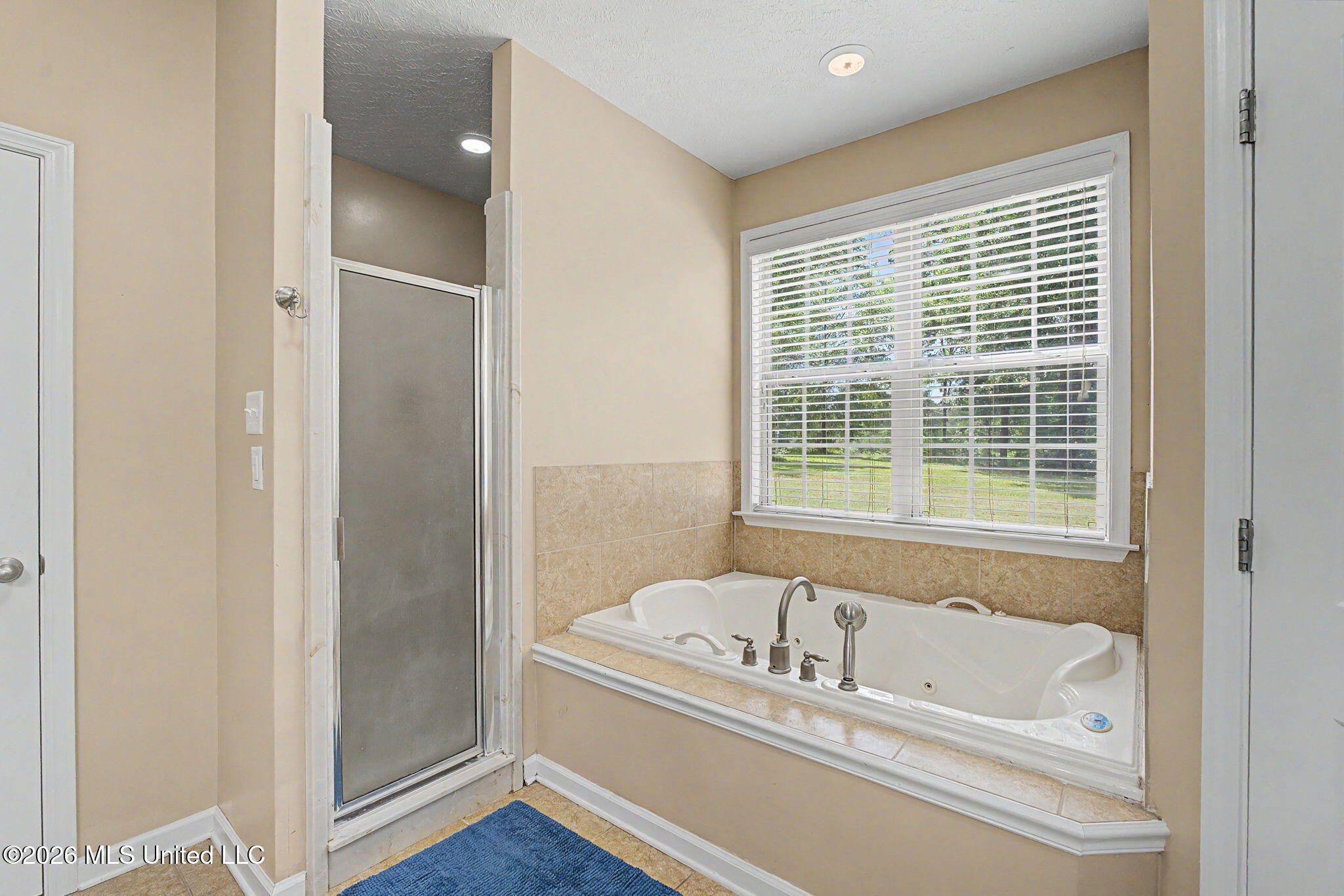8980 Kerri Ruth Road Hernando, MS 38632 - Photo 16 of 32 17-web-or-mls-8980 Kerri Ruth Rd-16