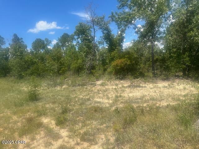 Tbd Cachet Court, Unit 9 Chipley, FL 32428 - Photo 2 of 11