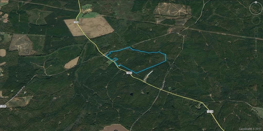 2 White Store Road Peachland, NC 28133 - Photo 2 of 4