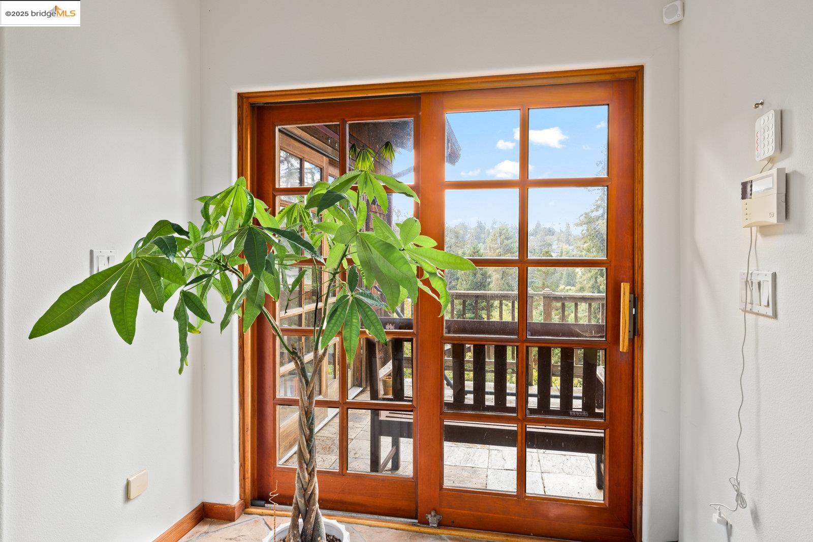 5663 Florence Terrace Oakland, CA 94611 - Photo 10 of 56 a vase of flowers sitting on a table next to a window