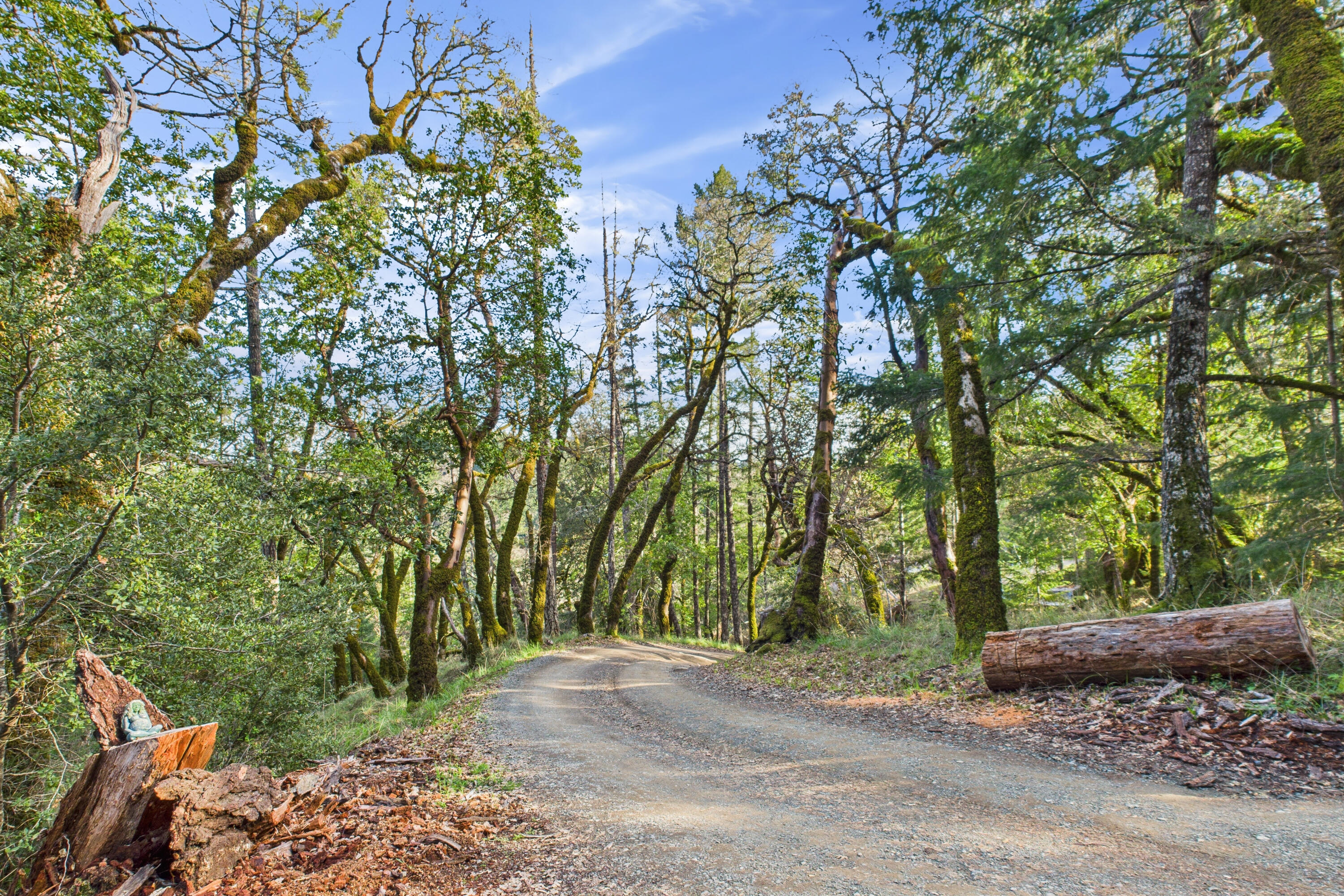 13 Perry Meadow Road Redway, CA 95560 - Photo 73 of 82 73-13 Perry Mdw-168