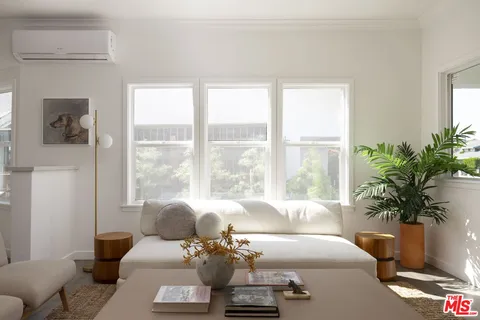 a living room with furniture and a potted plant