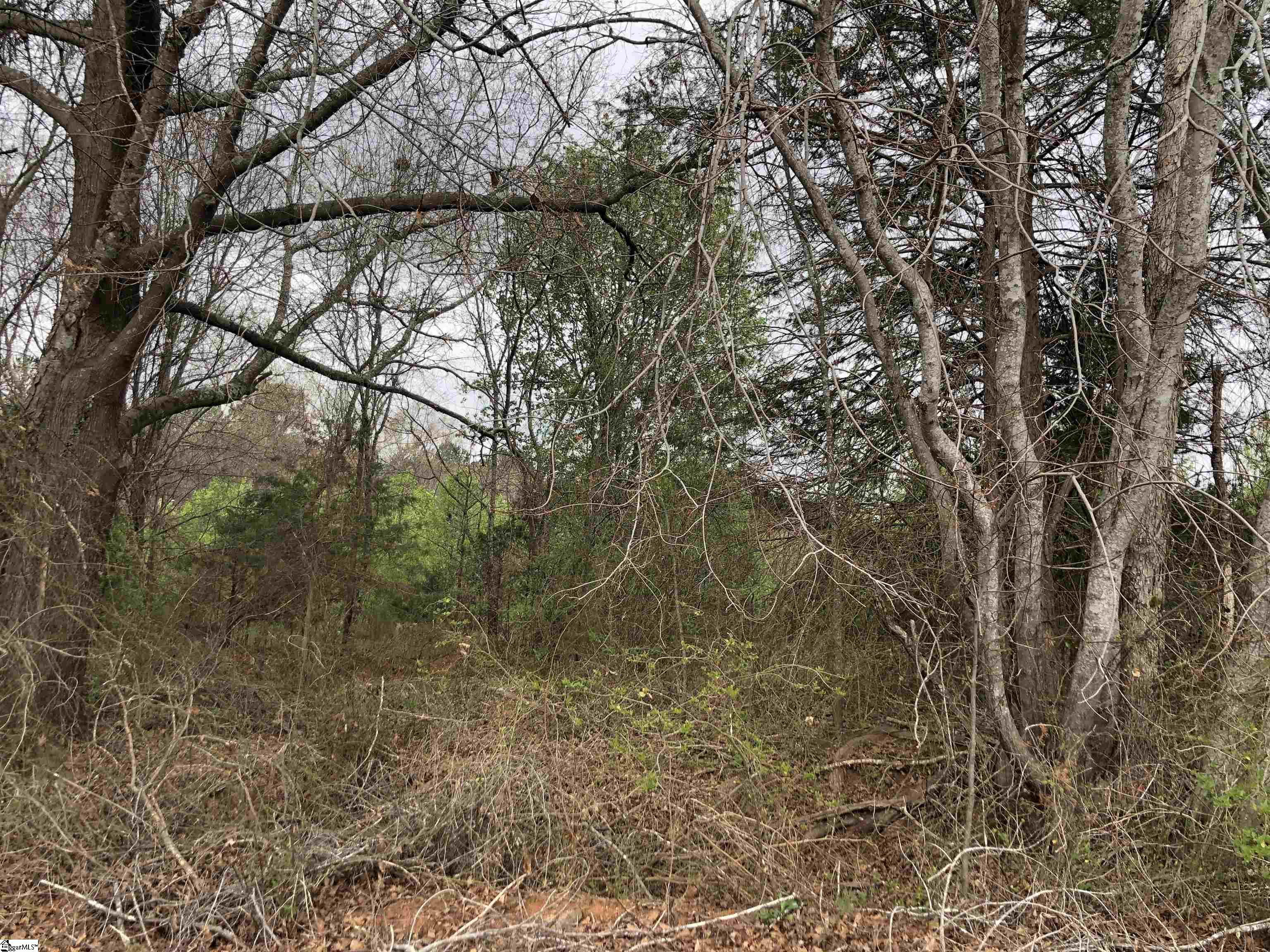 160 Twin Creek Road Cowpens, SC 29330 - Photo 1 of 2 Gallery Image 1