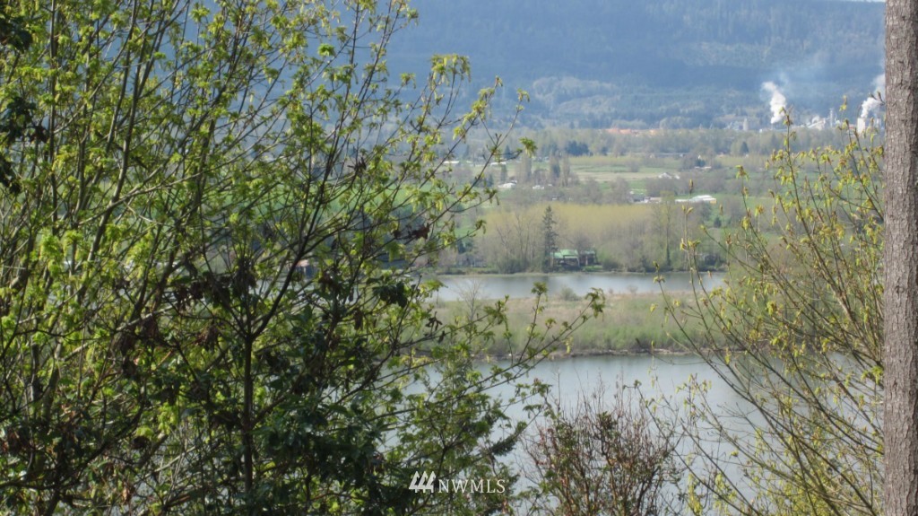 18 Maple Ridge Road Cathlamet, WA 98612 - Photo 13 of 22 Gallery Image 13