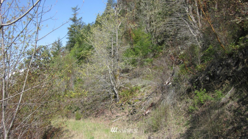 18 Maple Ridge Road Cathlamet, WA 98612 - Photo 19 of 22 Gallery Image 19