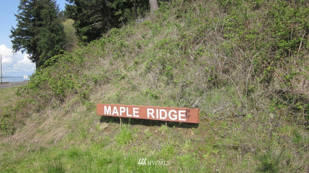 18 Maple Ridge Road Cathlamet, WA 98612 - Photo 22 of 22 Gallery Image 22