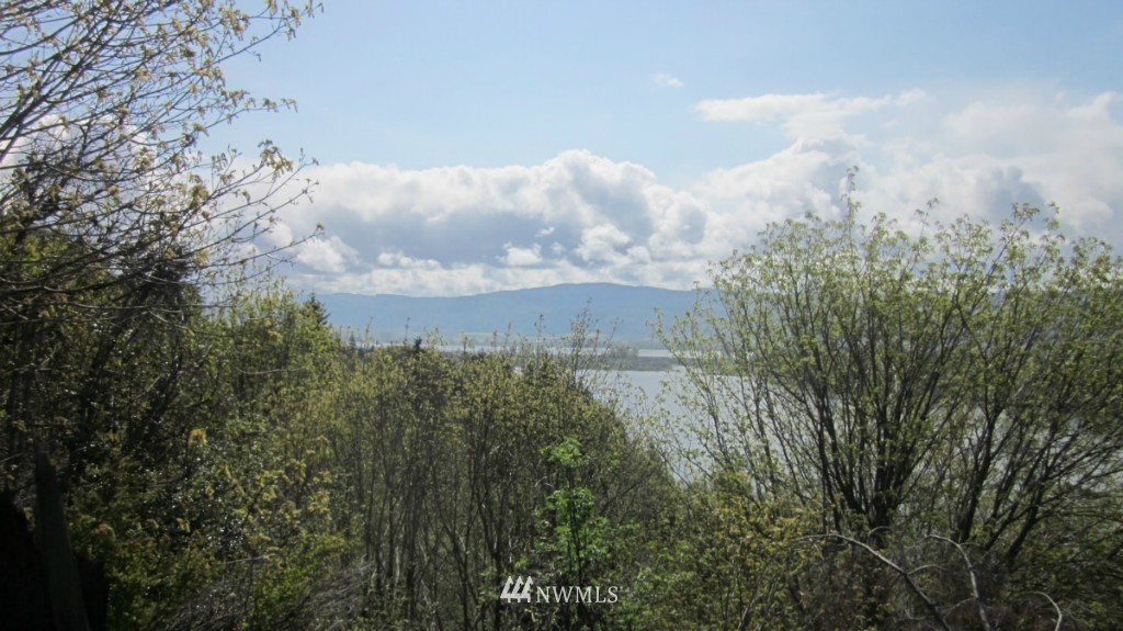 18 Maple Ridge Road Cathlamet, WA 98612 - Photo 5 of 22 Gallery Image 5