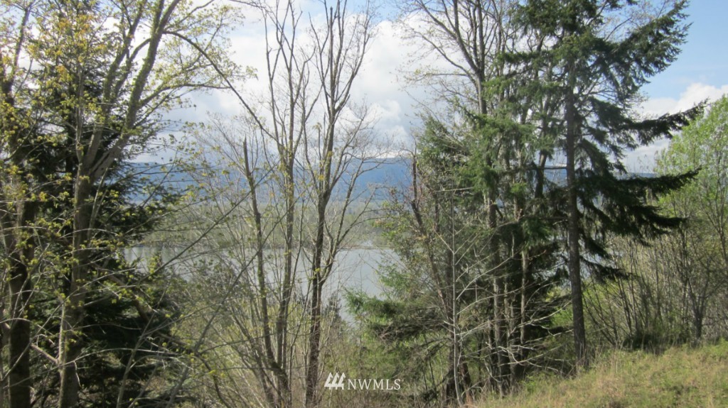 18 Maple Ridge Road Cathlamet, WA 98612 - Photo 10 of 22 Gallery Image 10