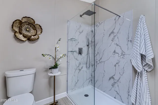 a bathroom with a toilet and a shower