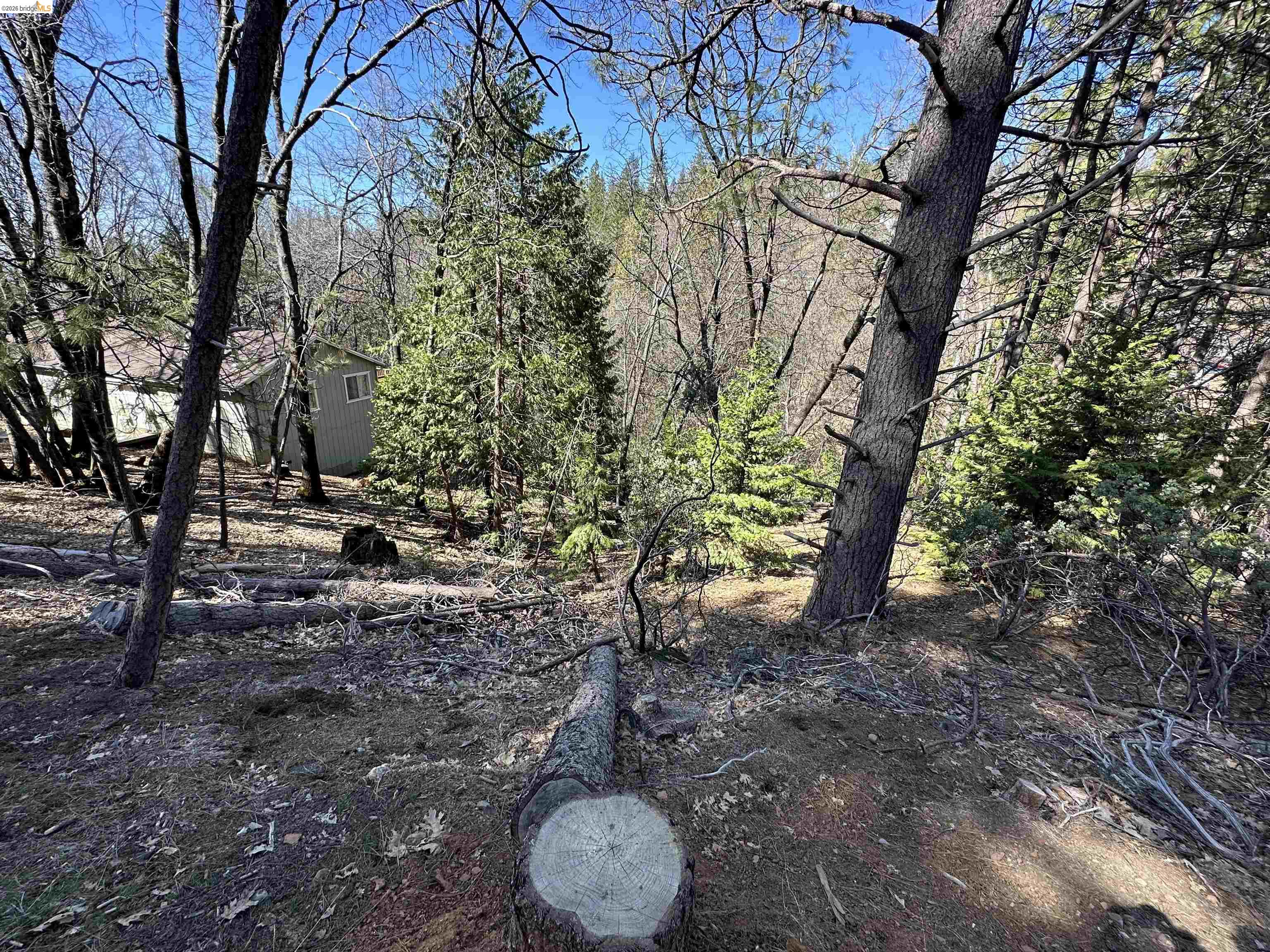 23956 Stable Road Sonora, CA 95370 - Photo 7 of 13 Gallery Image 7