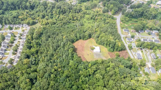 a close up of a flower in a garden