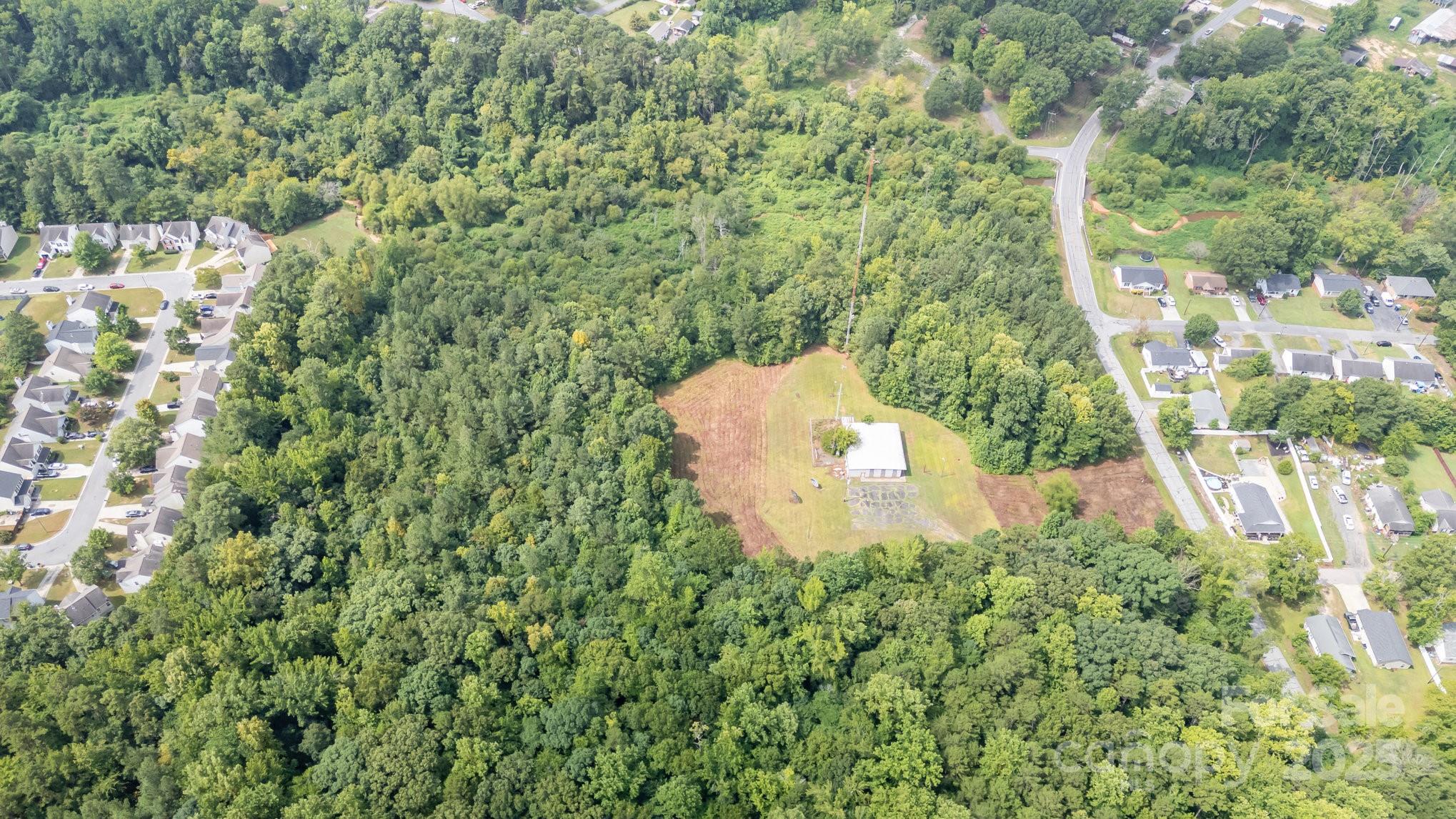 910 Fairview Street Kannapolis, NC 28083 - Photo 2 of 9 a close up of a flower in a garden