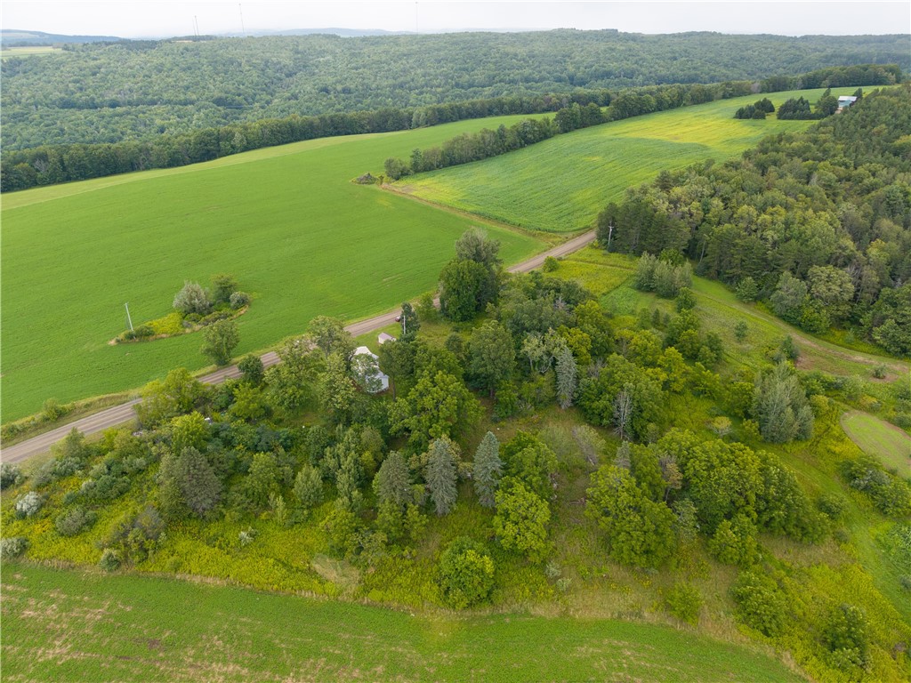 10292 Ryder Road Dansville, NY 14437 - Photo 27 of 27 Gallery Image 27