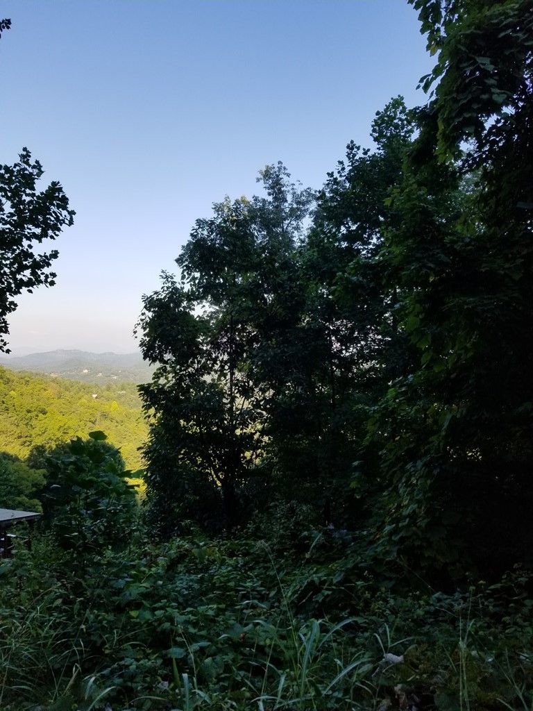 1 Overholt Trail Sevierville, TN 37862 - Photo 7 of 7