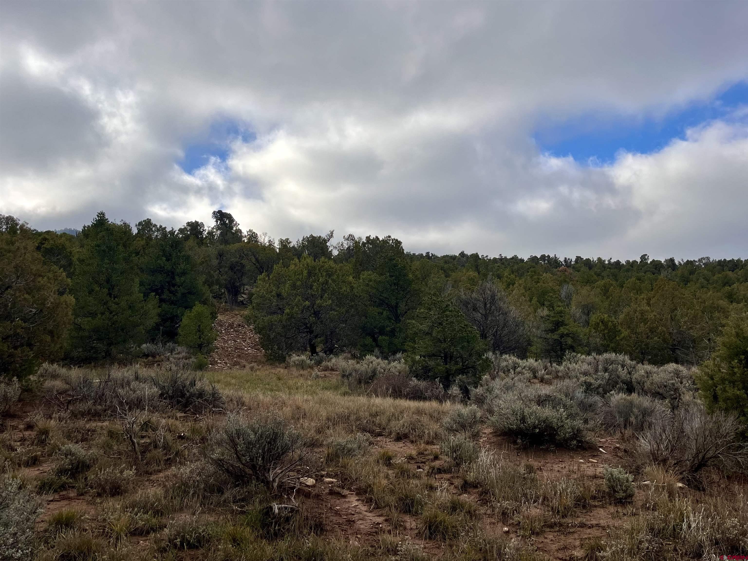 2114 County Road 318 Ignacio, CO 81137 - Photo 2 of 11