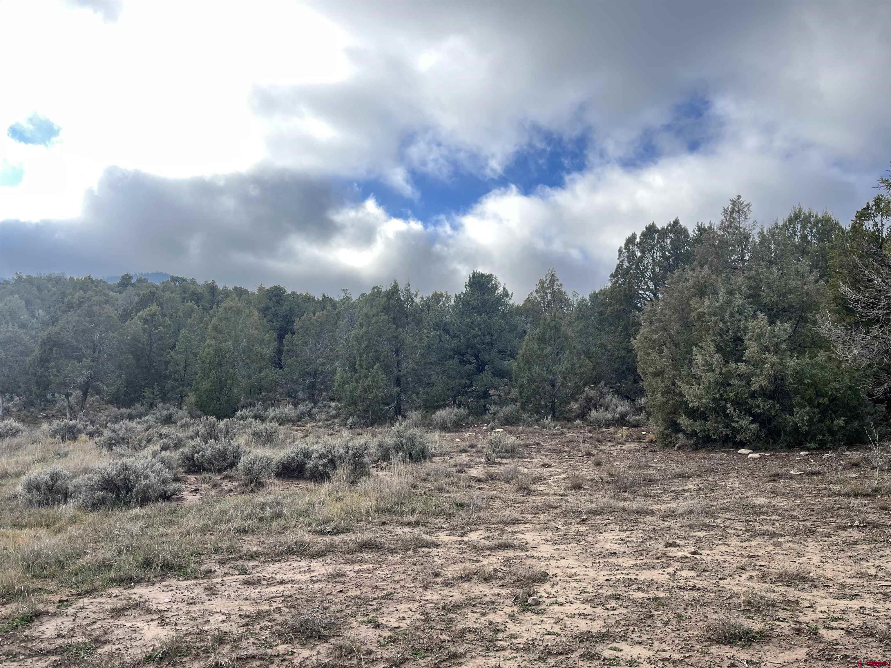 2114 County Road 318 Ignacio, CO 81137 - Photo 5 of 11 a view of a yard