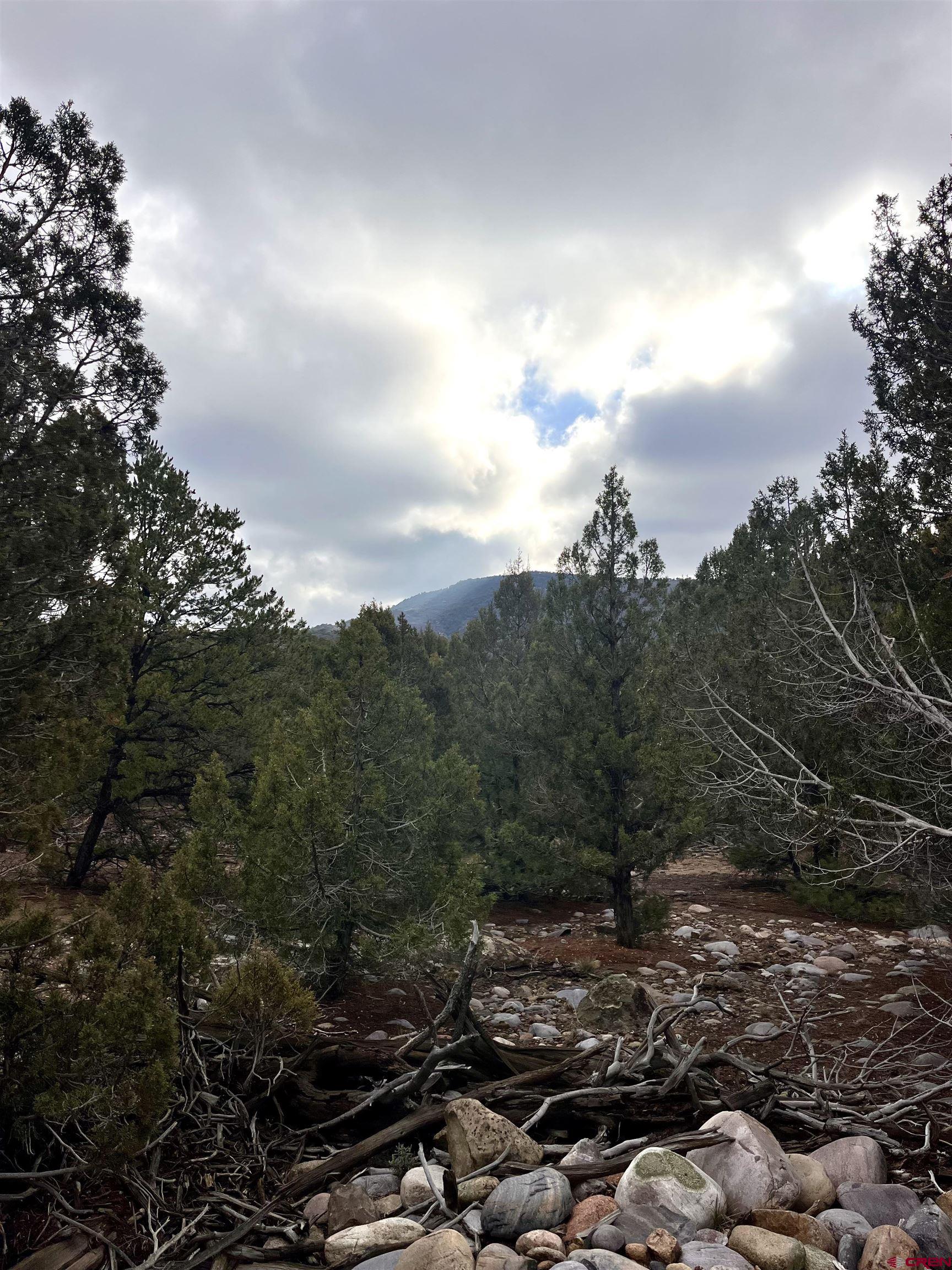 2114 County Road 318 Ignacio, CO 81137 - Photo 10 of 11 a view of a city with lush green forest