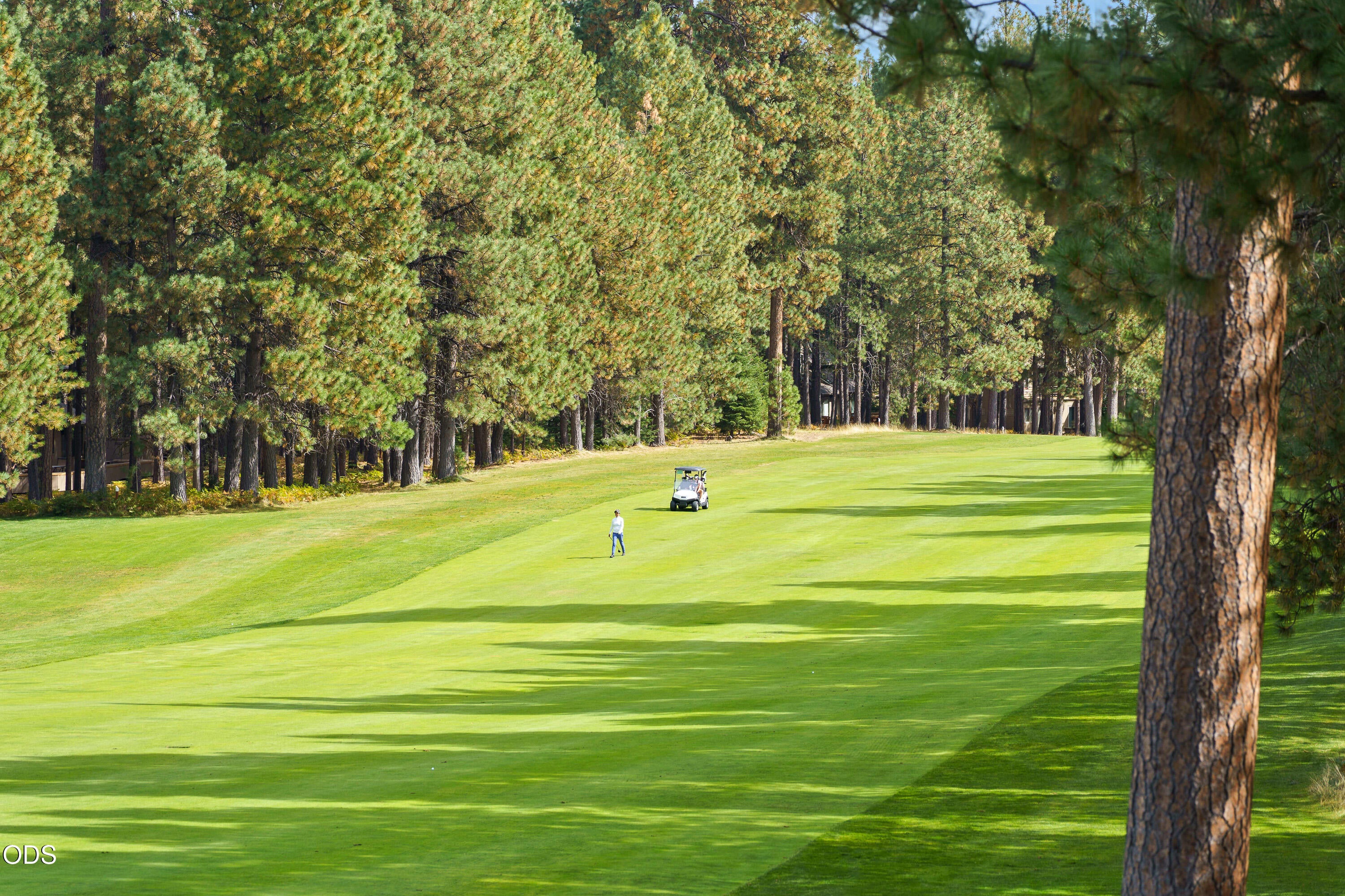 13402 Anapholis, Unit 304 Black Butte Ranch, OR 97759 - Photo 88 of 98 Gallery Image 88
