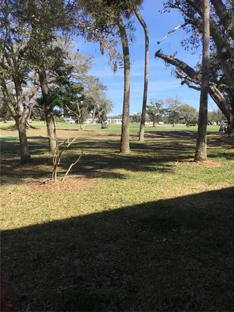 a view of a yard with a tree