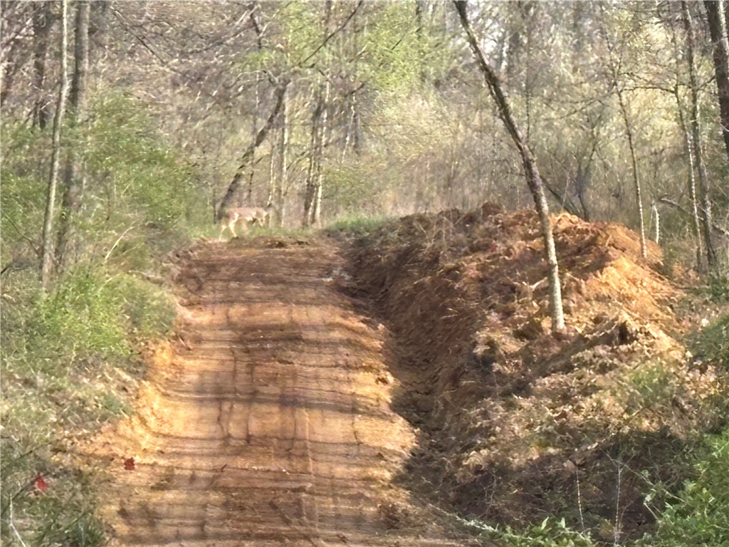 Applegate Road Bridgeport, IL 62417 - Photo 14 of 17