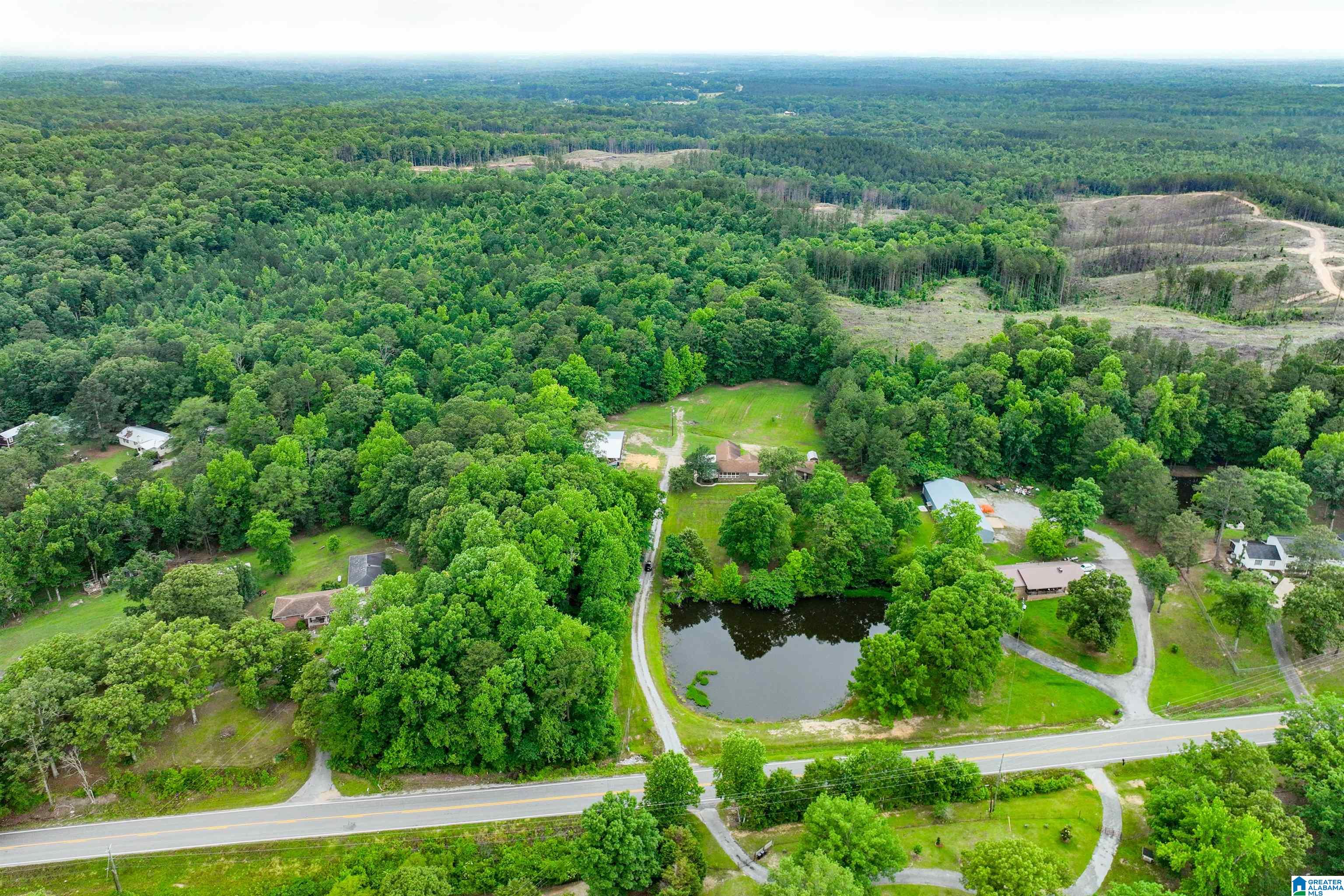 3869 Highway 155 Montevallo, AL 35115 - Photo 58 of 66