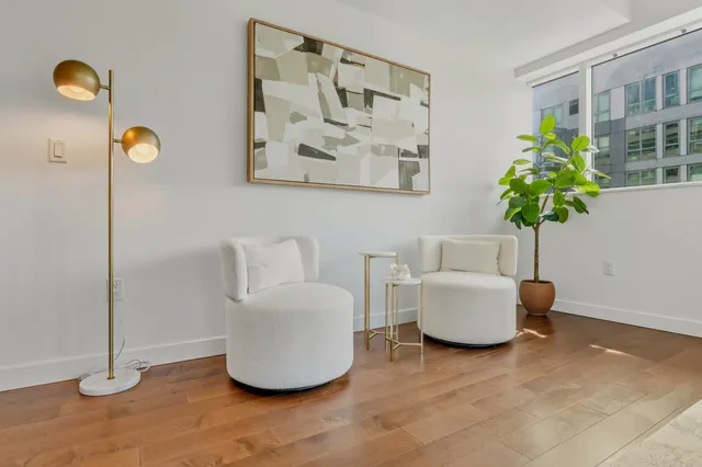 a living room with furniture and a potted plant